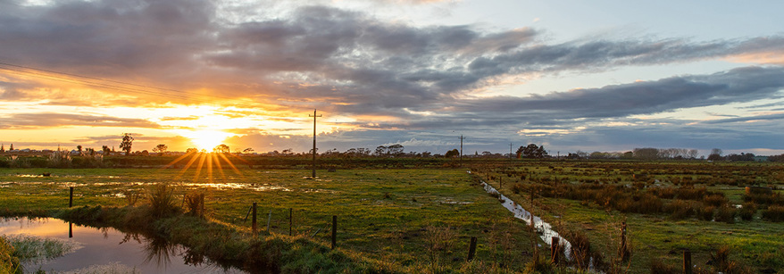 sunrise over wetland