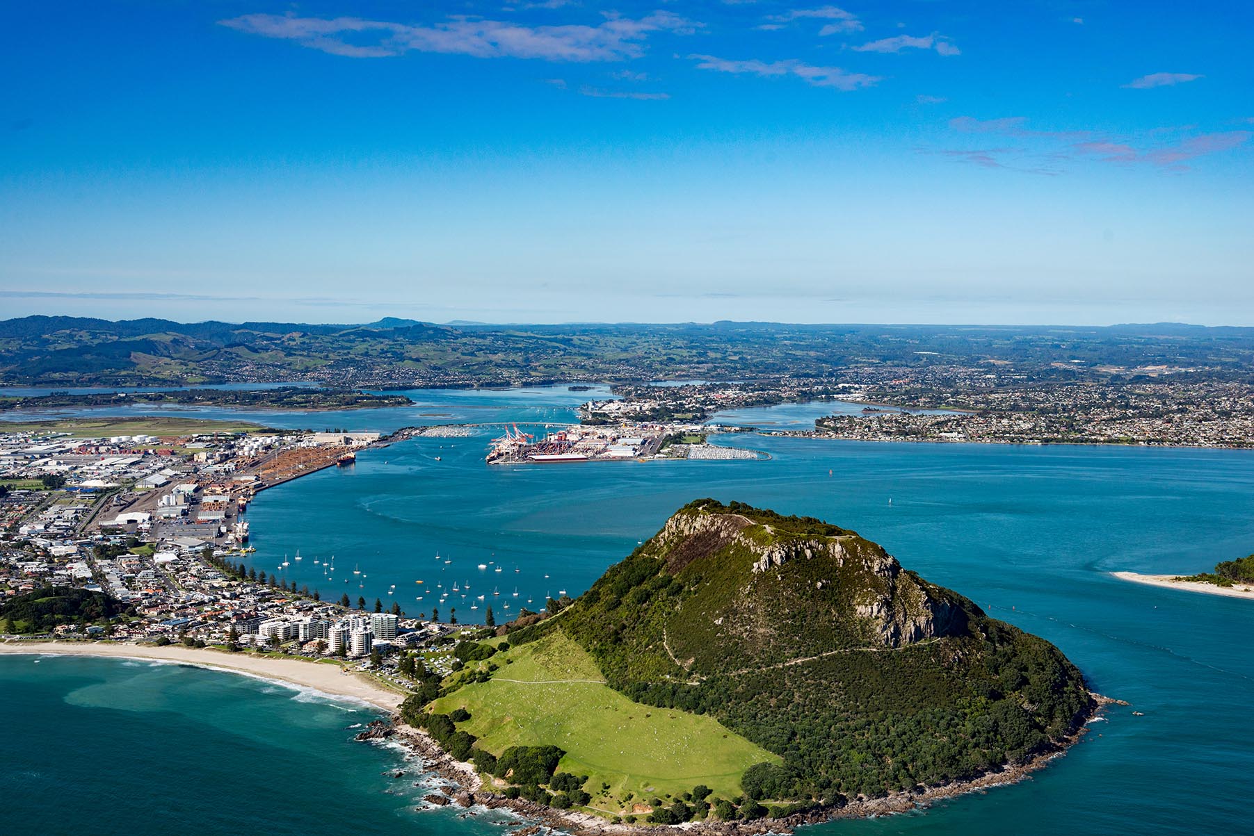 tauranga harbour