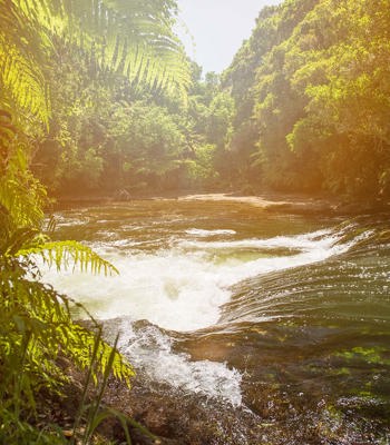 Te Hāpai Ora – Regional Community Outcomes Fund We consider all applications for sponsorship and assess each application against a few criteria, in support o...