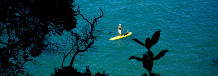 paddle boarder