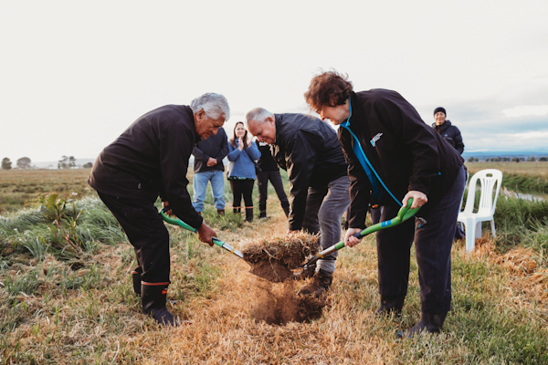 Cutwater Road wetland - turning sod