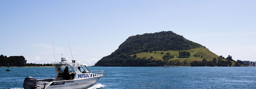 boat in harbour