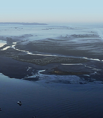 Whakatāne - Tauranga Rivers Scheme Project Future Proof Project Future Proof is a staged project to upgrade flood protection, such as stopbanks and floodwall...